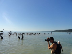 balatonman2012_001 