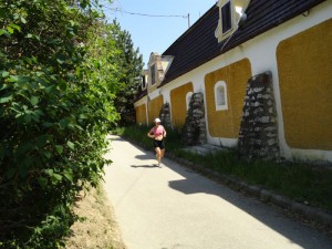 paloznak12_070